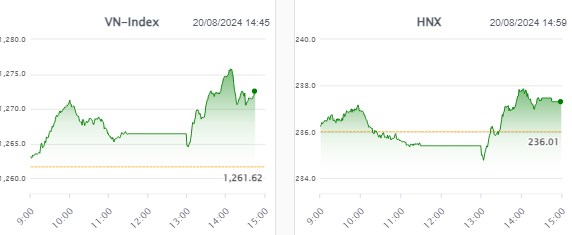 🔴 Nhịp đập Thị trường 20/08: Cổ bất động sản “xanh tím”, VN-Index vượt 1,270. Top cổ đất mạnh nhất !