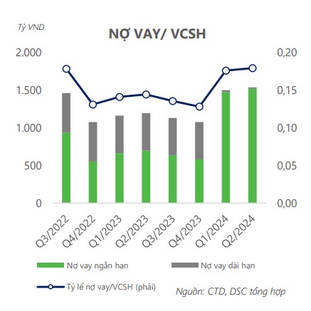 Vị Thế Đầu Ngành của CTD Và Điều Gì Đáng Chờ Đợi?