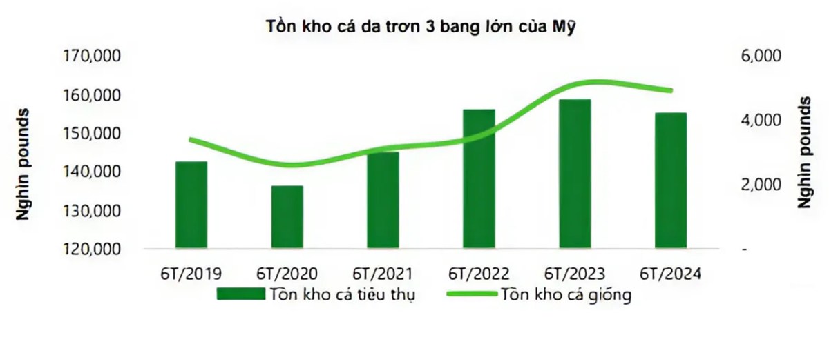 Cổ phiếu ngành thủy sản có đủ sức vươn lên?