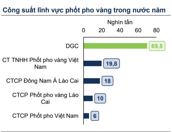 DGC: Giấc mơ hóa chất Việt