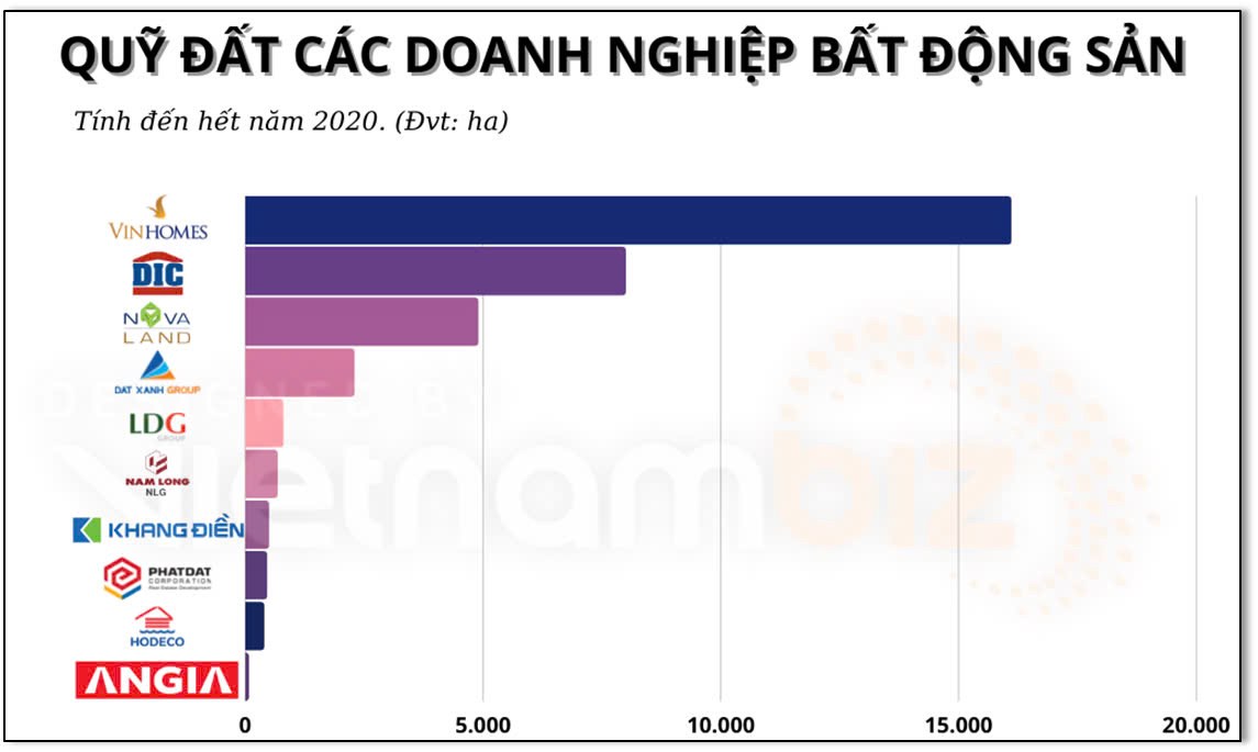 Có nên đầu tư cổ phiếu DIG năm 2024?