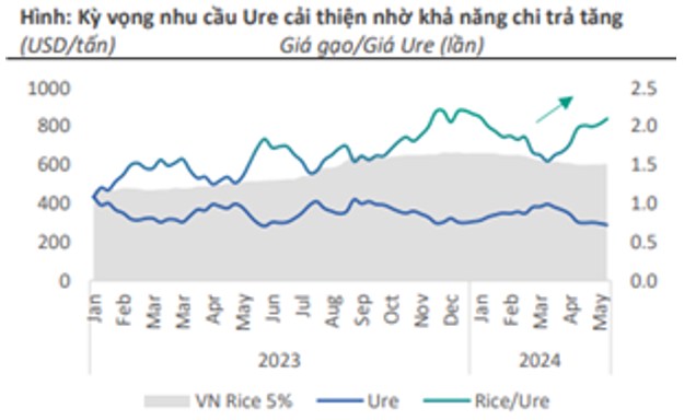 DPM – Động lực không nhiều