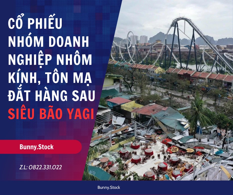 💥CỔ PHIẾU NHÓM DOANH NGHIỆP NHÔM KÍNH, TÔN MẠ ĐẮT HÀNG SAU SIÊU BÃO YAGI