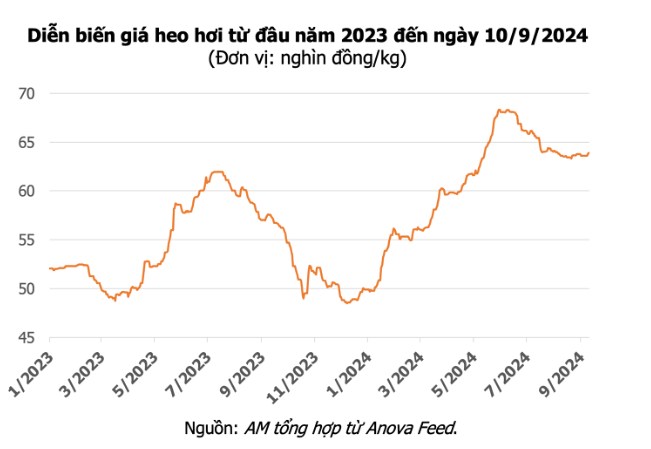 Tuần phục hồi - Thế giới hồi mạnh - VNindex phản công hướng tới việc FED giảm lãi suất