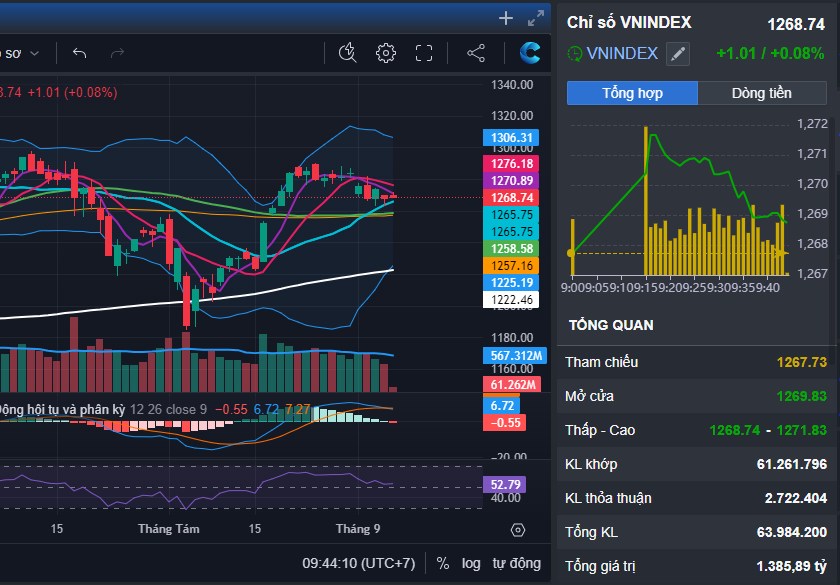 Tuần phục hồi - Thế giới hồi mạnh - VNindex phản công hướng tới việc FED giảm lãi suất