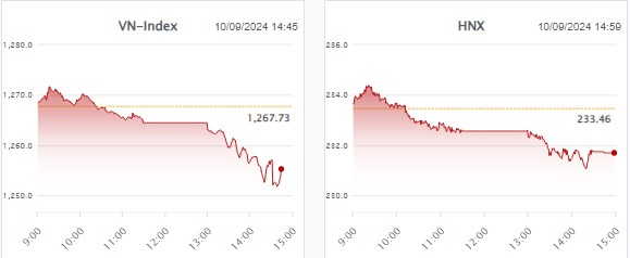 Nhịp đập thị trường 10/09: Lấp GAP 1250 - Dòng tiền bắt đáy được kích hoạt