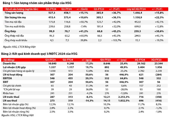 HSG – Kết quả kinh doanh ấn tượng, bệ đỡ từ thi trường nội địa