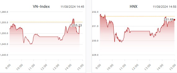 🔴 Nhịp đập Thị trường 11/09: Vnindex rút chân mạnh, NVL sàn ! Điểm mua giá rẻ