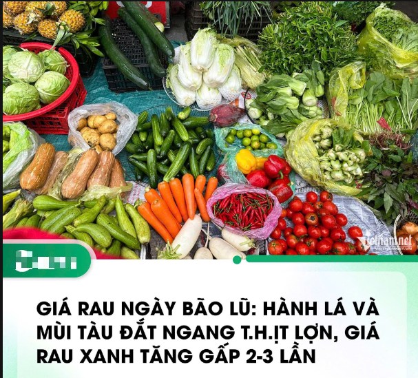 VN-Index 12/9/2024: Tập trung mặt hàng cổ phiếu cơ bản: nông nghiệp, thịt lợn, phân đạm hóa chất và nông nghiệp