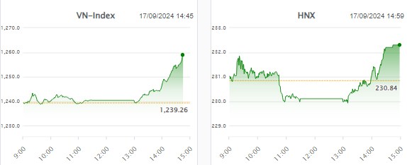 Nhịp đập thị trường 17/09: Bùng nổ vào sóng hay Bull trap?