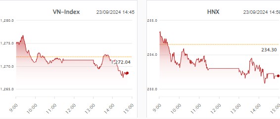 Nhịp đập thị trường 23/09: Liên tục 2 phiên rút đầu, Bulltrap?