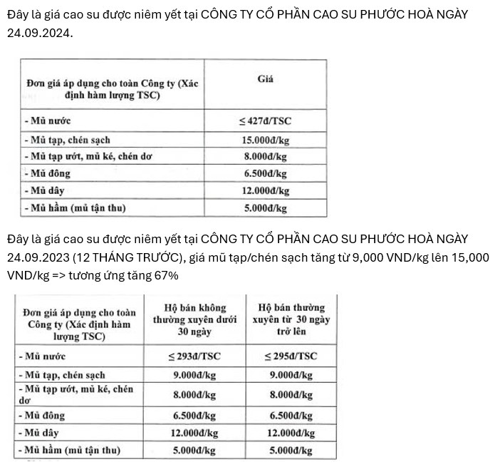 Dự báo giá cao su tiếp tục tăng, doanh nghiệp cao su hưởng lợi