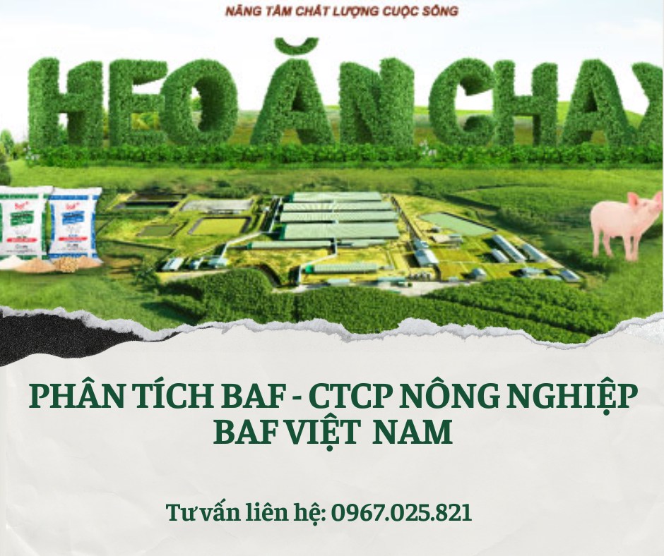 PHÂN TÍCH BAF – CÔNG TY CỔ PHẦN NÔNG NGHIỆP BAF VIỆT NAM. 1. TỔNG QUAN DOANH NGHIỆP. Công ty CP Nông  ...