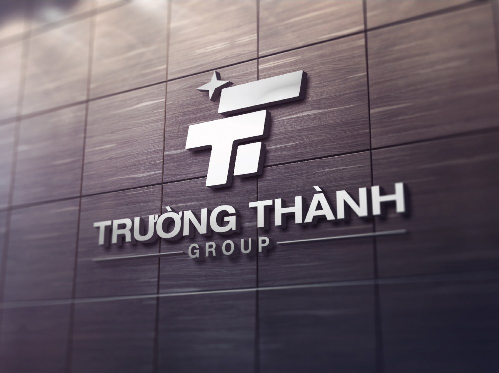 PHÂN TÍCH TTA – CTCP ĐẦU TƯ XÂY DỰNG VÀ PHÁT TRIỂN TRƯỜNG THÀNH. 1. LĨNH VỰC HOẠT ĐỘNG. Trường Thành  ...