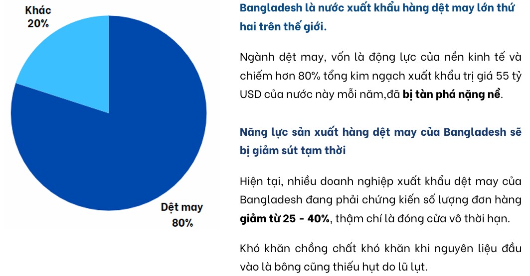 TCM - Kỳ vọng KQKD Quý 3 cao nhất năm 2024