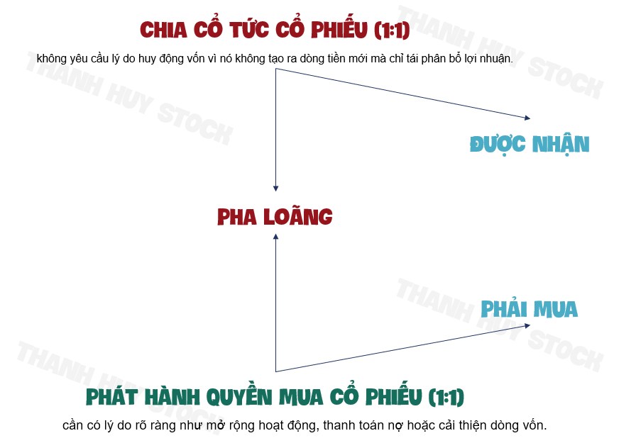 Phân tích cổ phiếu ANV: Cơ hội từ mùa cổ tức và tiềm năng ngành thủy sản