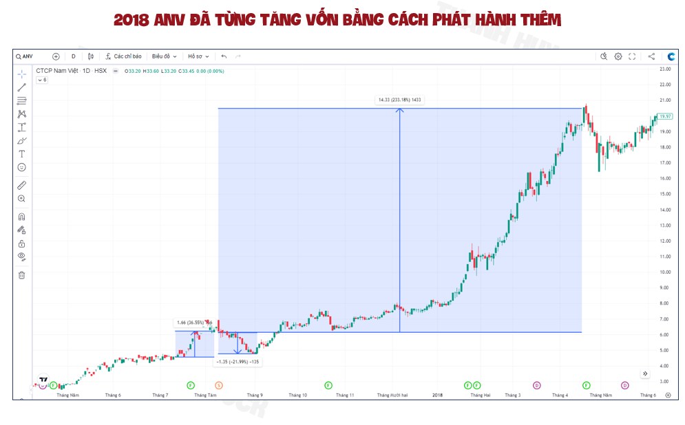 Phân tích cổ phiếu ANV: Cơ hội từ mùa cổ tức và tiềm năng ngành thủy sản