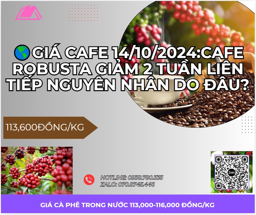 🔥🌎GIÁ CAFE GIẢM 2 TUẦN LIÊN TIẾP NGUYÊN NHÂN DO ĐÂU?. 🔴Giá cà phê trong 2 tuần liên tiếp điều chỉnh  ...