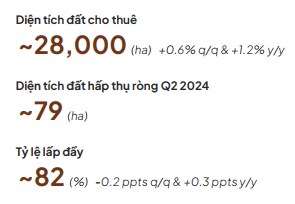 Triển vọng bất động sản khu công nghiệp 2024 - 2025 (Phần 1)