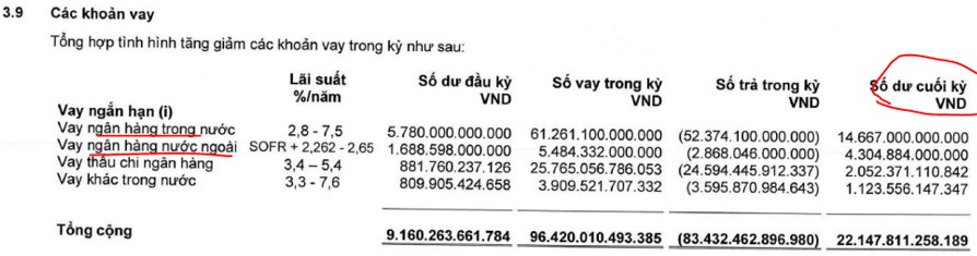 HCM – Nhu cầu tăng vốn cấp thiết sau Q3-2024