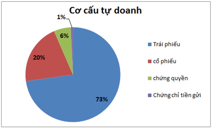 HCM – Nhu cầu tăng vốn cấp thiết sau Q3-2024