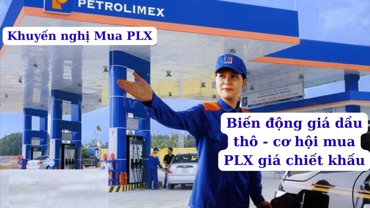 Petrolimex (PLX) -  Cơ hội đầu tư dài hạn từ "Ông lớn" ngành Xăng dầu Việt Nam