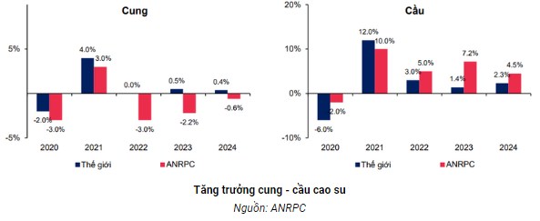 Triển vọng ngành cao su Việt Nam giai đoạn tới: “Kỷ nguyên của ‘vàng trắng’ đang dần hồi sinh”