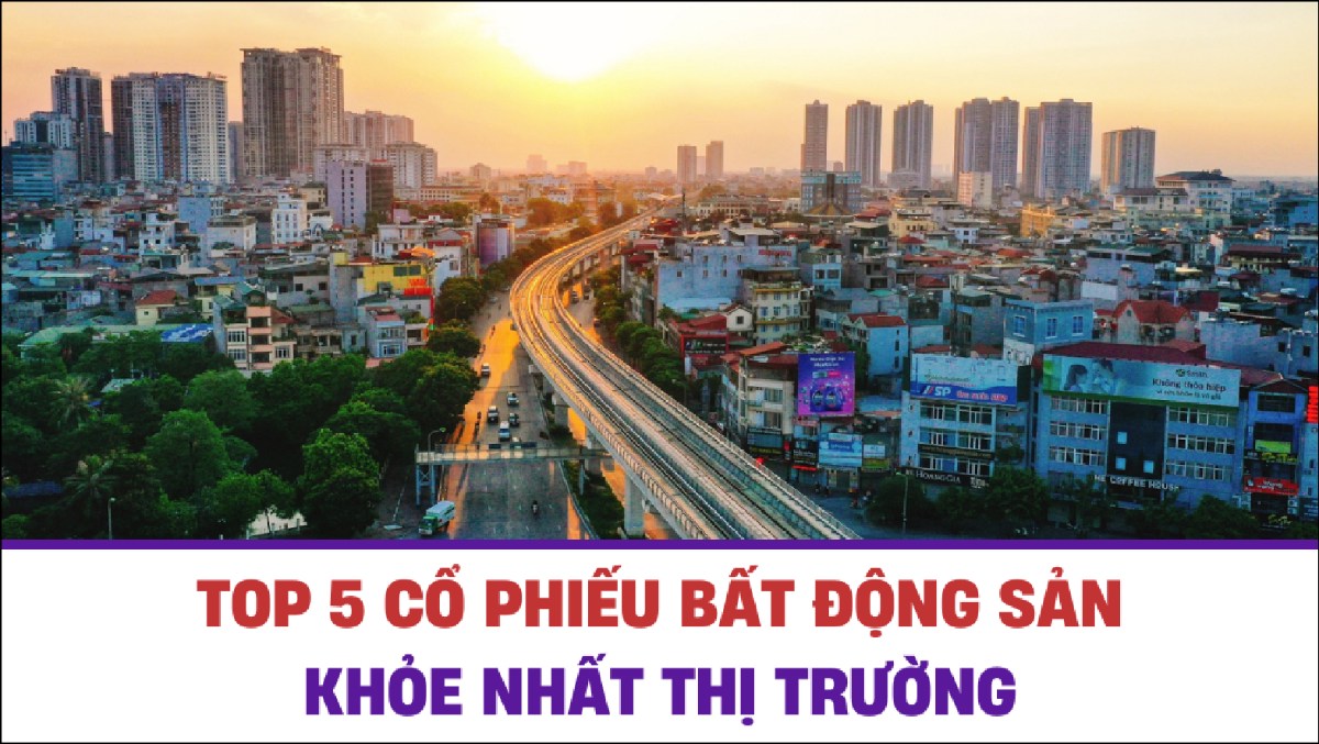 Top 5 cổ phiếu bất động sản khỏe nhất thị trường