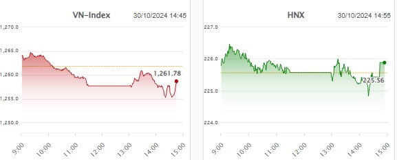 Nhịp đập thị trường 30/10: Top cổ phiếu giá rẻ ít ai để ý đã hình thành đáy