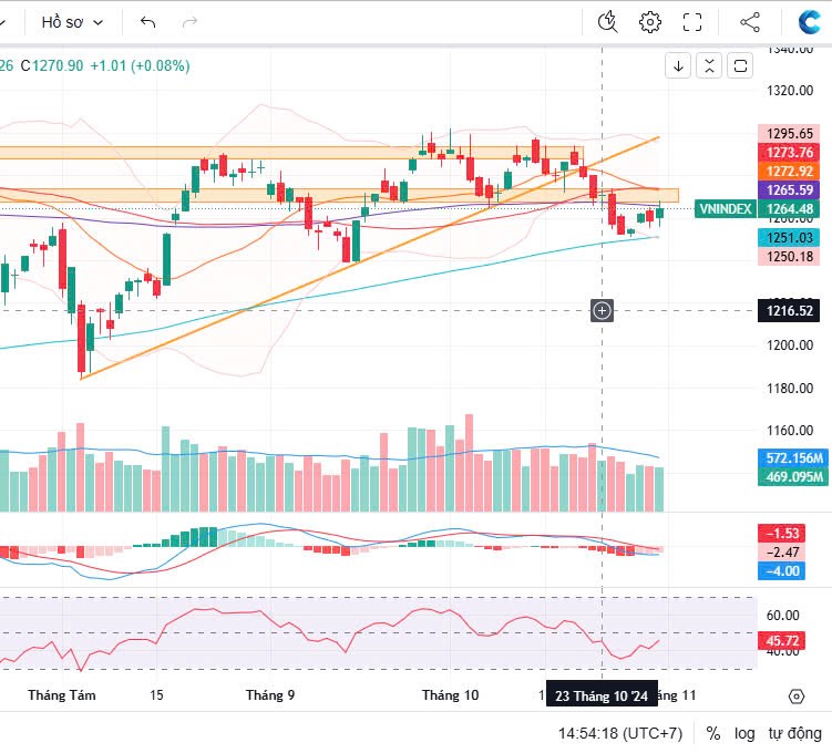 Tổng kết nhanh Vnindex 31/10/2024: Cuối tháng vui vẻ