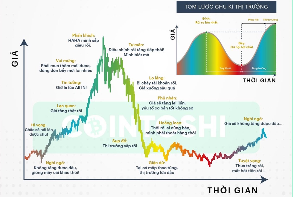 Hiểu tâm lý thị trường và chu kỳ giá qua biểu đồ VN-Index: chìa khóa thành công trong đầu tư chứng khoán