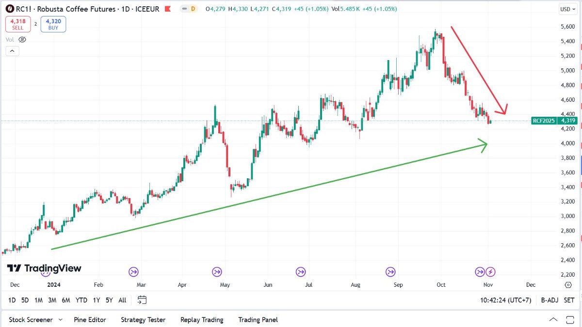 ❌❌❌ ĐÀ GIẢM CÀ PHÊ VẪN CHƯA DỪNG LẠI❗. ☕Giá cà phê Robusta tương lai kỳ hạn tháng 1/2025 ngày hôm qua  ...