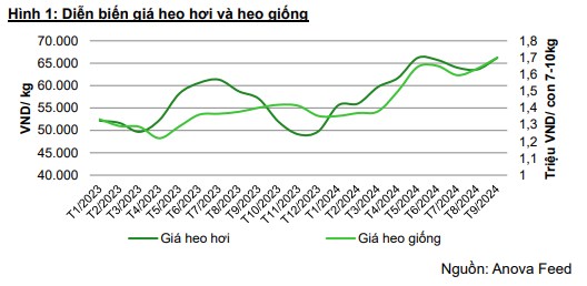 DBC: Tiềm năng từ vaccine và tăng trưởng quy mô đàn