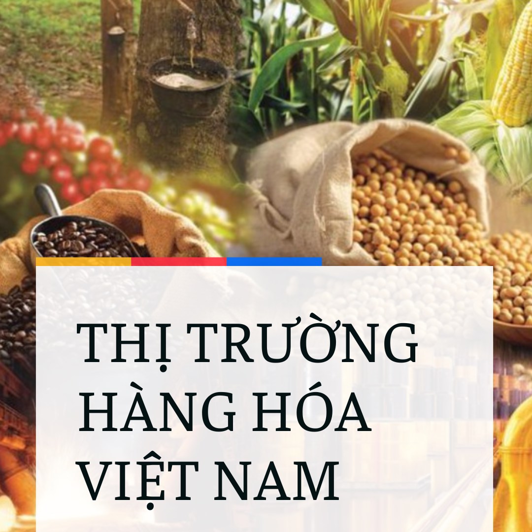 TÌM HIỂU VỀ THỊ TRƯỜNG GIAO DỊCH HÀNG HÓA PHÁI SINH. "Khám phá cơ hội từ thị trường giao dịch hàng hóa  ...