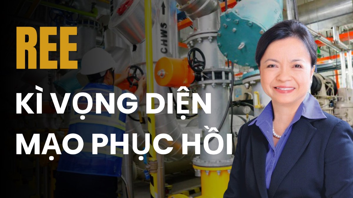 REE - Kỳ vọng diện mạo phục hồi. Kết thúc quý 3/2024, CTCP Cơ Điện Lạnh REE đã công bố kết quả kinh  ...