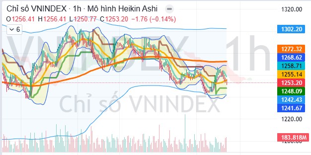 Phân tích chuyên sâu về phản ứng của hai nhóm đầu tư Không margin / Dùng margin khi VN-Index tăng và giảm điểm