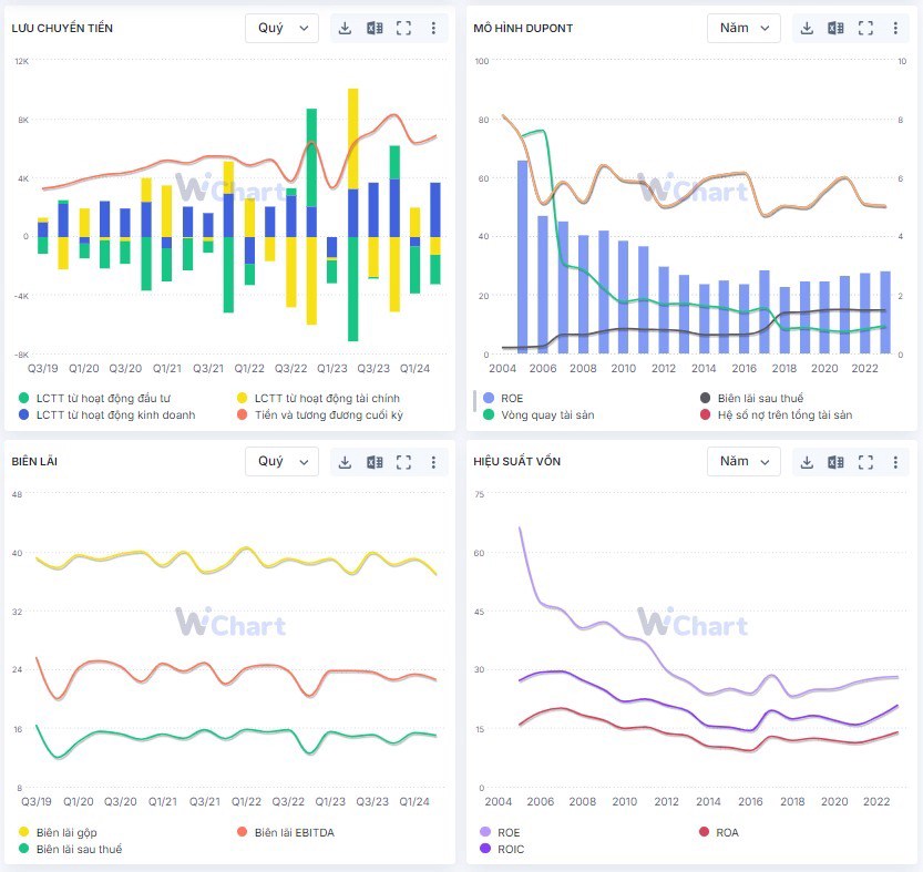 Các chỉ số tài chính và biểu đồ phân tích quan trọng khi phân tích doanh nghiệp