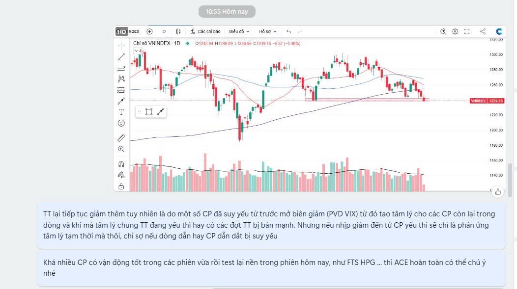 Tổng kết phiên giao dịch 13/11/2024