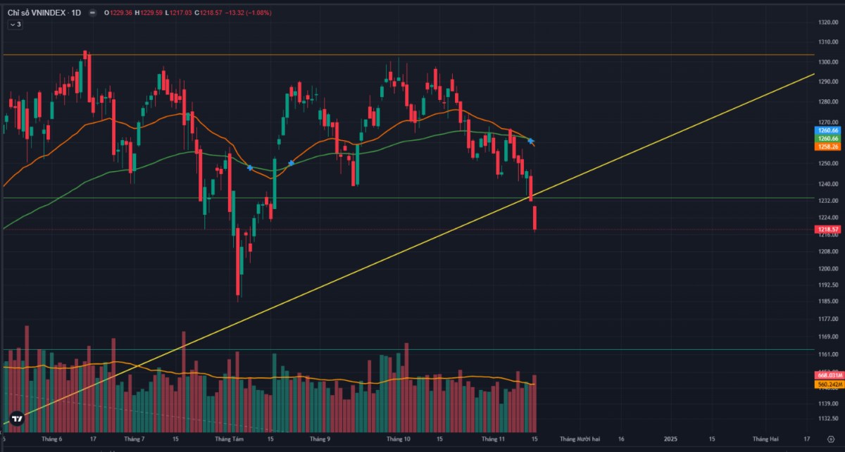 Chỉ số VNINDEX lại tiếp tục rơi xuống và chìm sâu