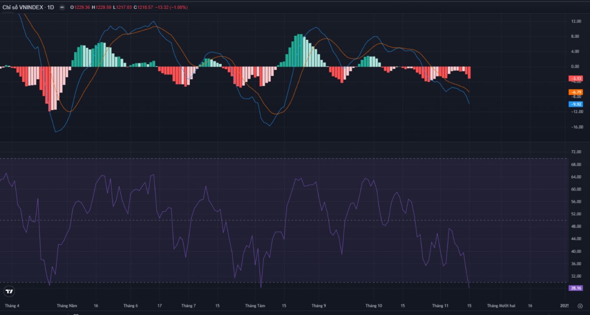 Chỉ số VNINDEX lại tiếp tục rơi xuống và chìm sâu