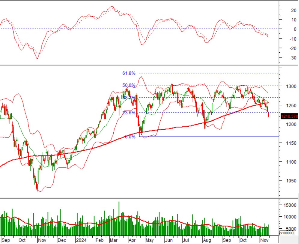 18-22/11/2024: Rủi ro ngắn hạn vẫn đang ở mức cao. VN-Index giảm mạnh với hơn 33 điểm kèm theo xuất  ...