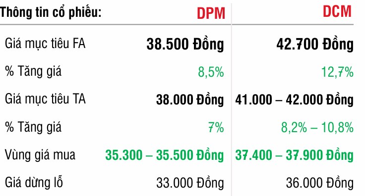 DCM & DPM – Thay đổi quy định VAT hỗ trợ tăng trưởng lợi nhuận năm 2025