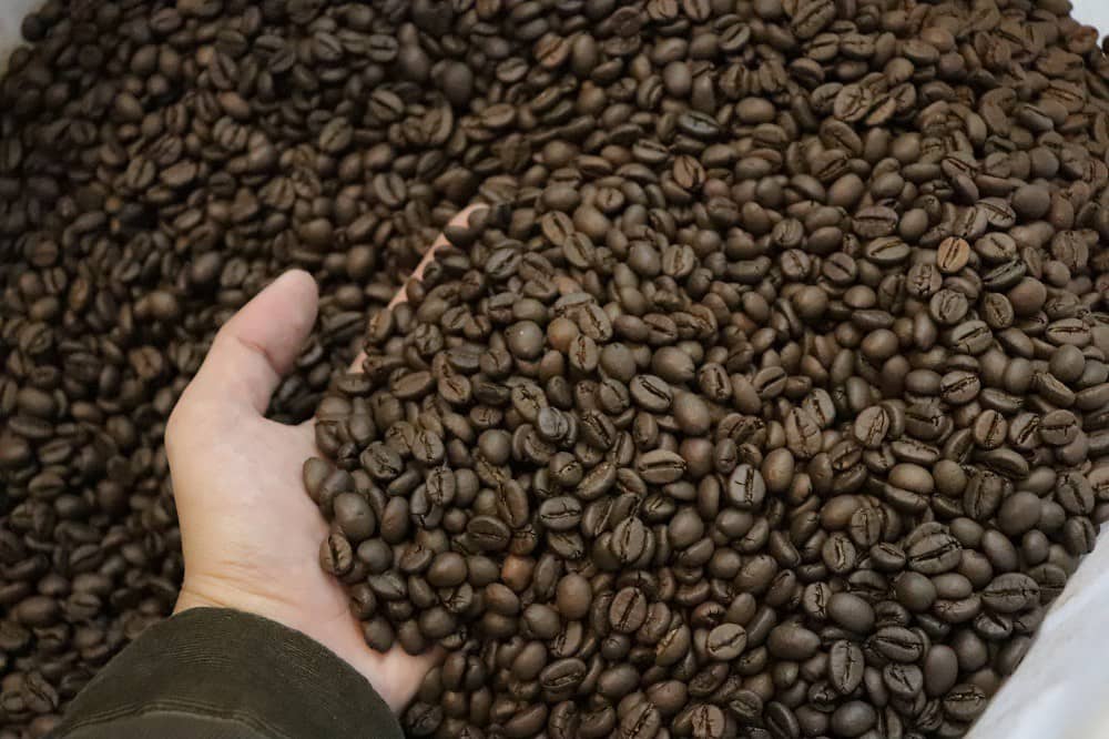 Giá cà phê chạm đỉnh 47 năm: Khủng hoảng nguồn cung và chính sách mới