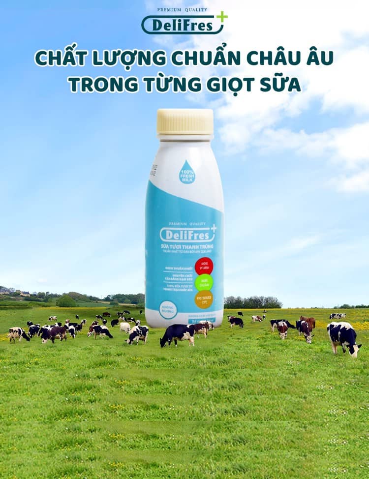 Thị trường sữa tươi thanh trùng miền Nam và ‘người đặc biệt’ DeliFres+