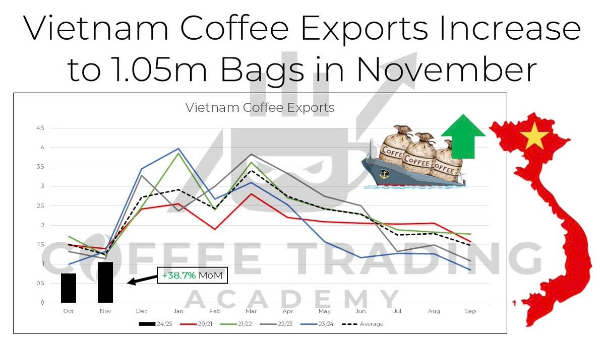 Xu hướng giá cà phê: Ổn định ngắn hạn, tiềm năng tăng trong dài hạn