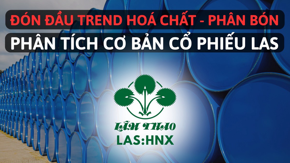 Phân tích cơ bản cổ phiếu LAS (Phần 1) | Series đón đầu trend hoá chất - phân bón