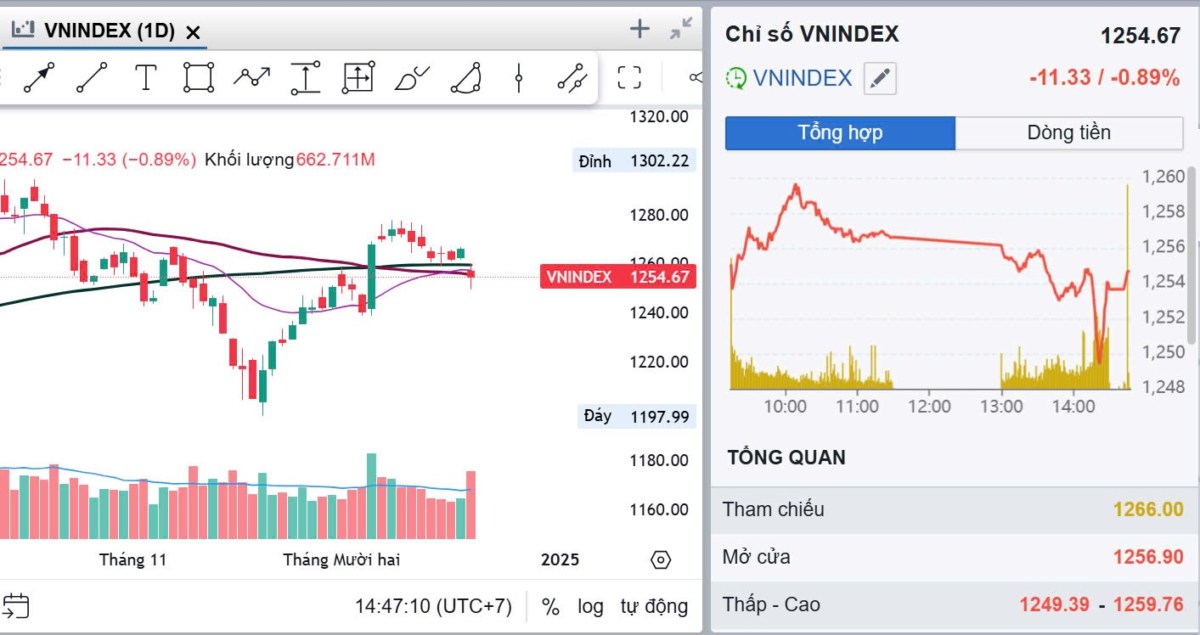 1 SIÊU PHẨM " NGÁCH " TÍCH LUỸ CỰC ĐẸP. Vnindex kết phiên ngày 19/12/2024 với một nến con xoay. Thể  ...