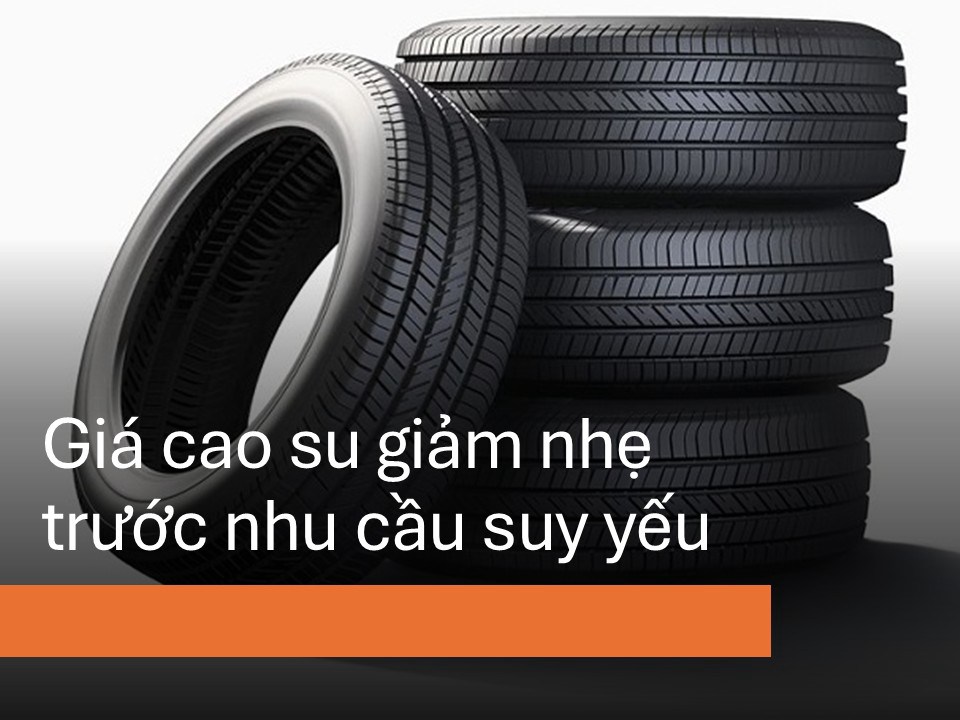 👉 Giá cao su đã giảm 3,4% từ mức cao nhất 2 tháng do dữ liệu kinh tế yếu kém của Trung Quốc làm lu  ...