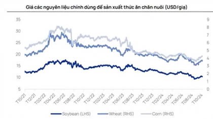 Nhóm ngành nào sẽ giúp nhà đầu tư có bánh chưng?