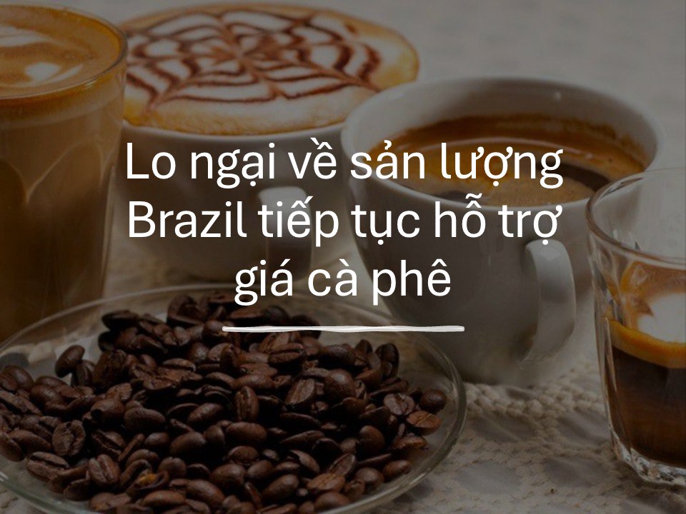 ☕Giá cà phê Arabica hôm thứ Ba tiếp tục giao dịch quanh vùng đỉnh ở mức giá 3,28$/pound, trong khi Robusta  ...